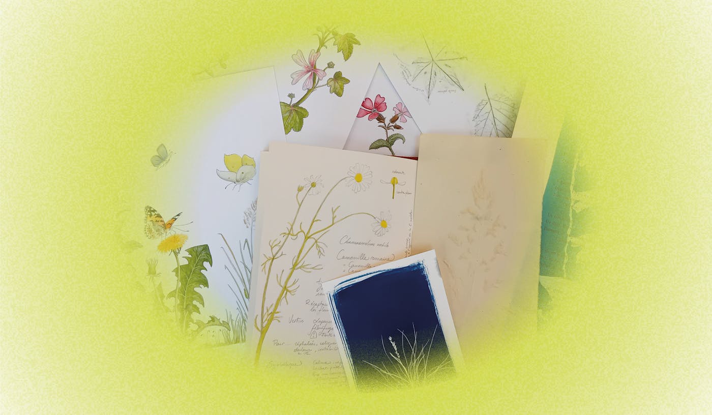 Botanique et traces de plantes
