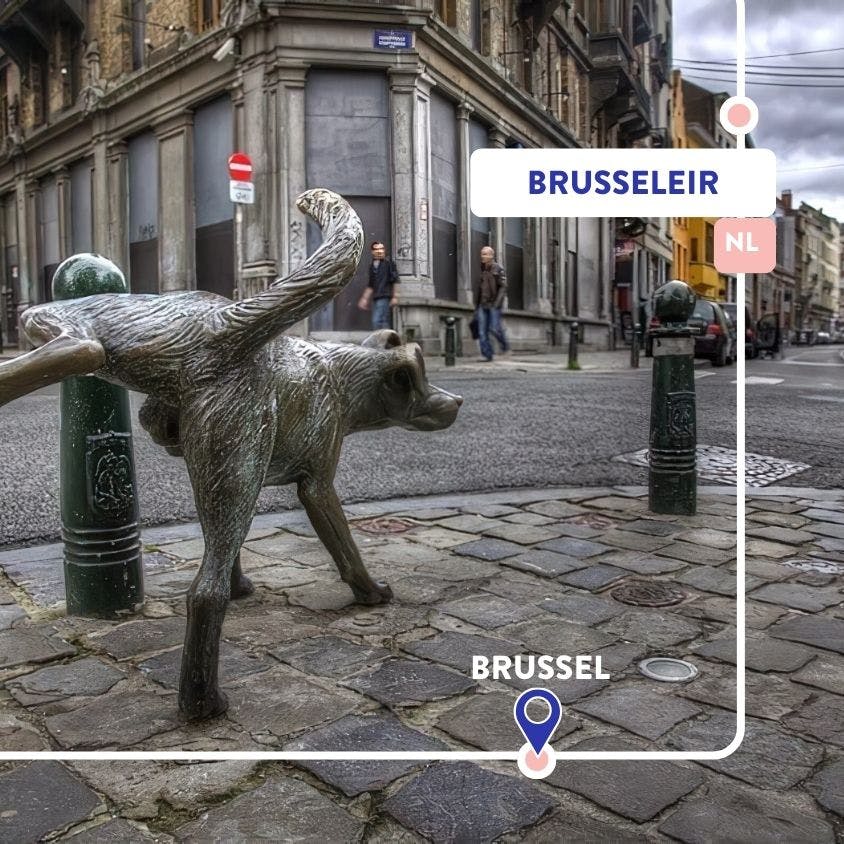 Visite guidée Brusseleir | Brussel - Molenbeek-Saint-Jean - Bruxelles