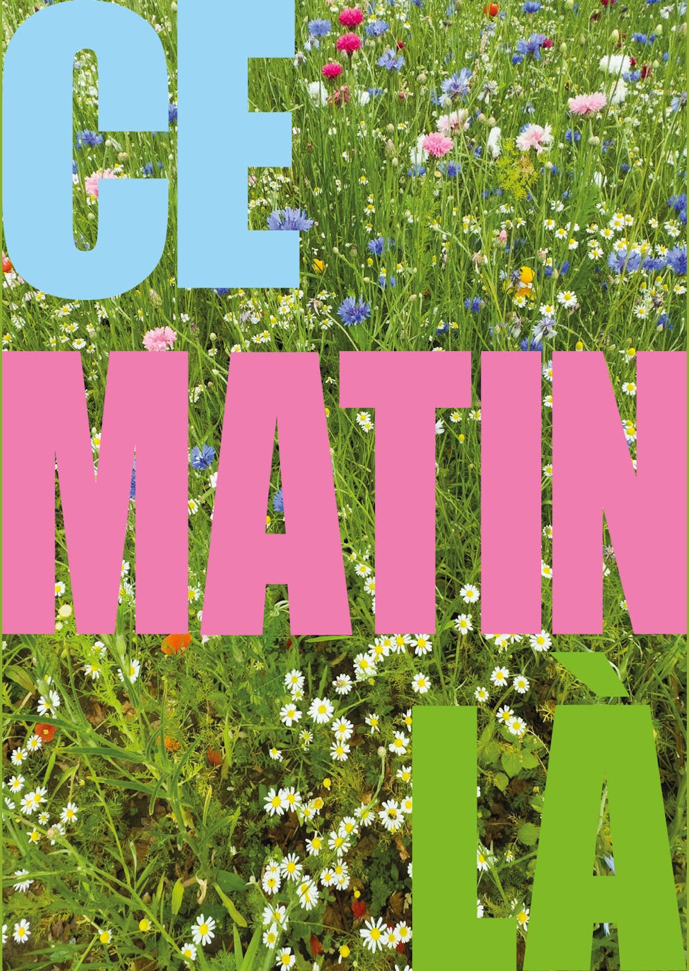 Exposition Ce matin-là - peinture contemporaine belge avec Christophe Malfliet & Jonas Callaert à Bruxelles - Bruxelles