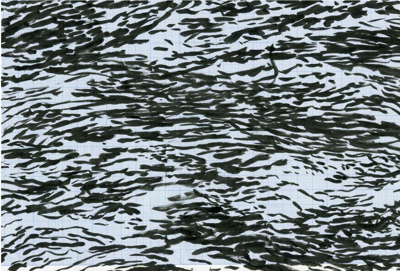 Exposition Drawing Water : Mark Dion, Klara Hobza, J.J. Seinen, Filip Van Dingenen à la Wouters Gallery - Bruxelles