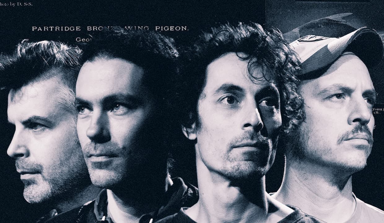 Concert Echoes of Zoo presents Collective Intelligence - Bruxelles