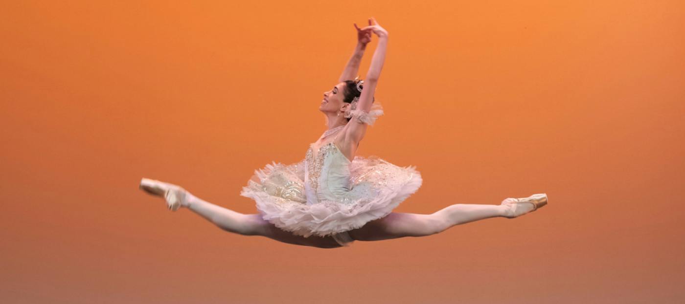 Performance Estivales de la Danse classique et contemporaine à la Salle Henry le Bœuf Bruxelles - Bruxelles