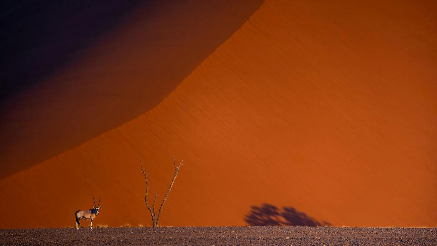 Cinéma Exploration du Monde Namibie, exceptionnelle par nature au Hall des Sports de Ganshoren - Bruxelles