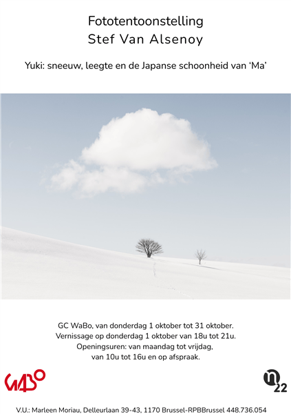 Exposition Finissage Stef Van Alsenoy - photographie de paysages hivernaux japonais à GC Wabo Watermael - Watermael-Boitsfort - Bruxelles