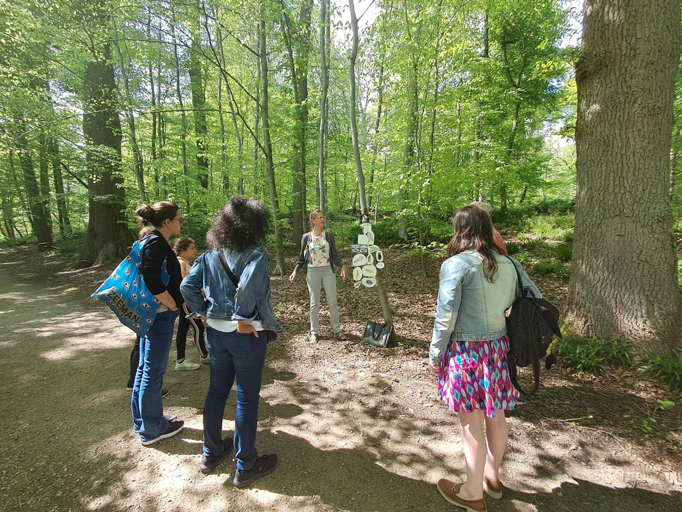 Visite guidée Forêt de Soignes * Traces et indices des animaux - Auderghem - Bruxelles