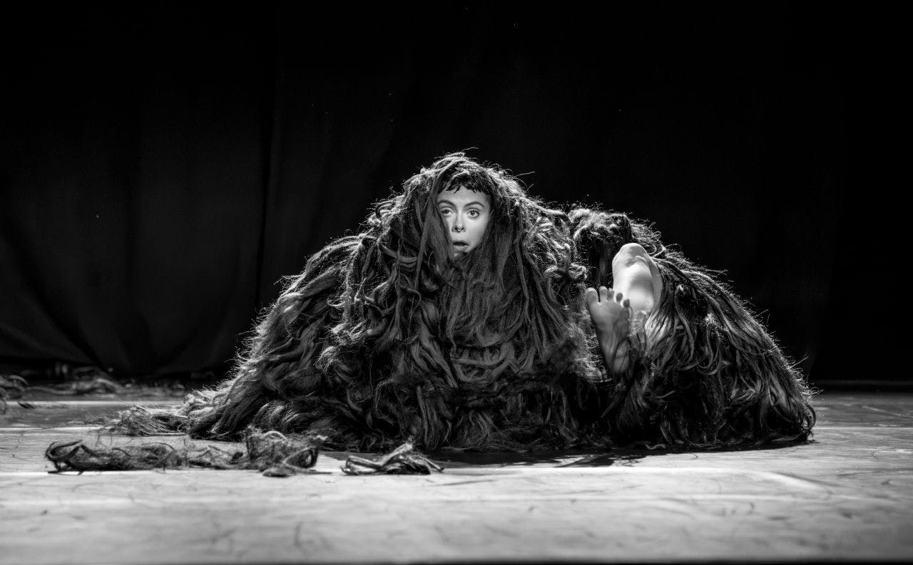Performance J'ai rêvé que j'avais des dents velues - Ixelles - Bruxelles
