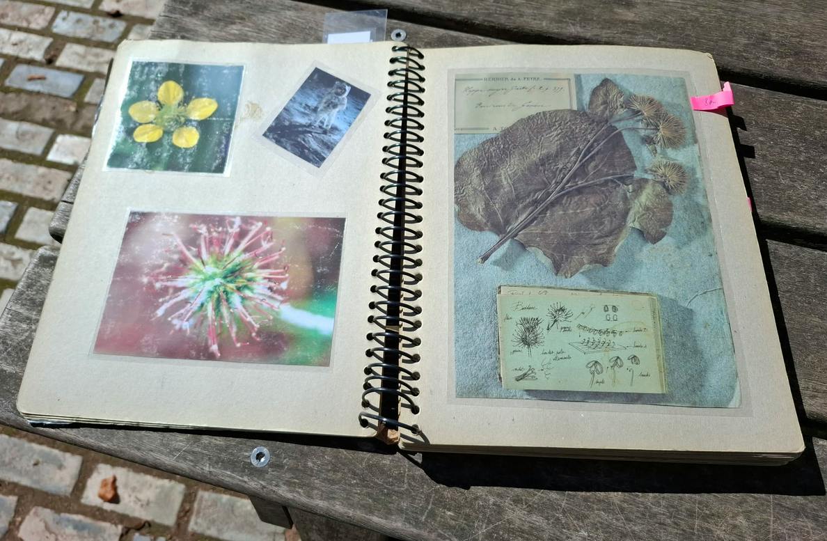 Visite guidée Les plantes et leurs histoires cachées à la Bibliothèque d'Anderlecht - Bruxelles