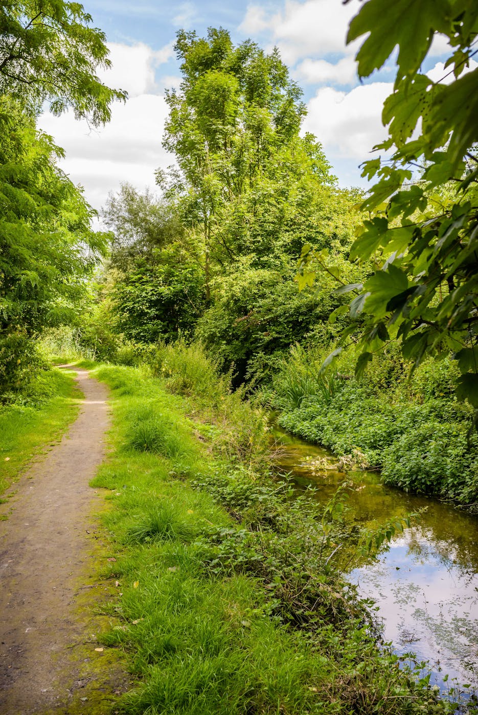 Visite guidée La Woluwe : le charme d’une vallée en mutations - Woluwe-Saint-Lambert - Bruxelles