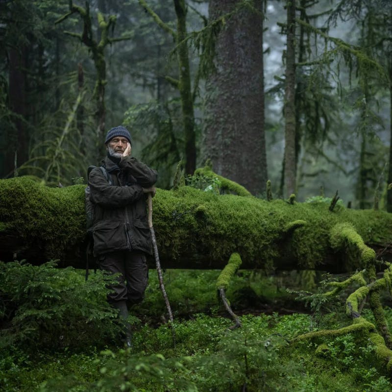 Cinéma Le Chant des forêts - Centre Culturel d'Uccle - Bruxelles