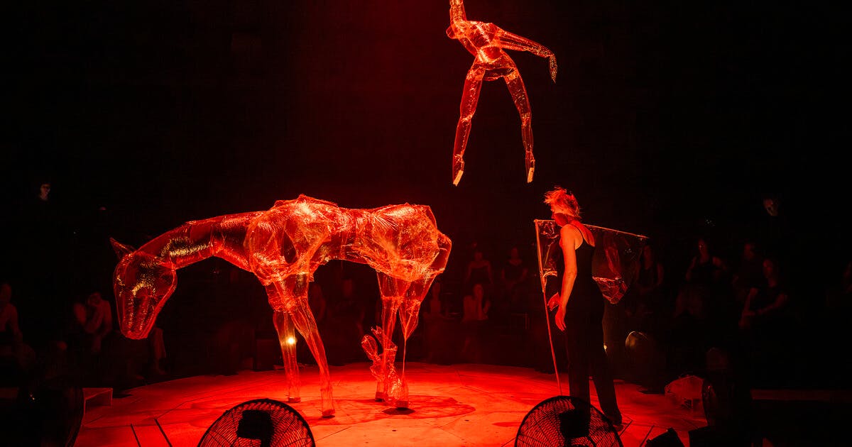 Performance Nocturne Parade - Les Halles de Schaerbeek - Bruxelles