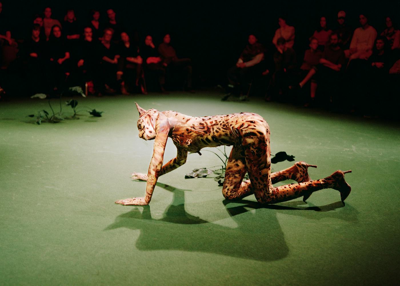 Spectacle Rectum Crocodile - Théâtre Varia - Ixelles - Bruxelles