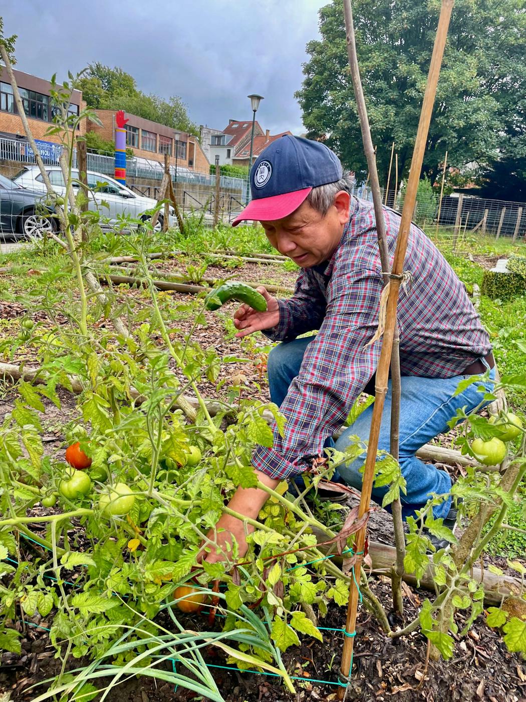 Atelier Semis et travaux d'automne au potager - Bruxelles