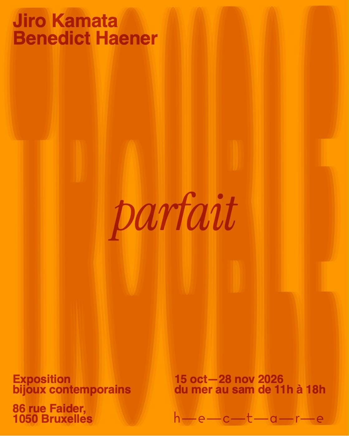 Exposition Trouble Parfait - Traverser les apparences, apprivoiser l’illusion avec Jiro Kamata et Benedict Haener - Ixelles - Bruxelles