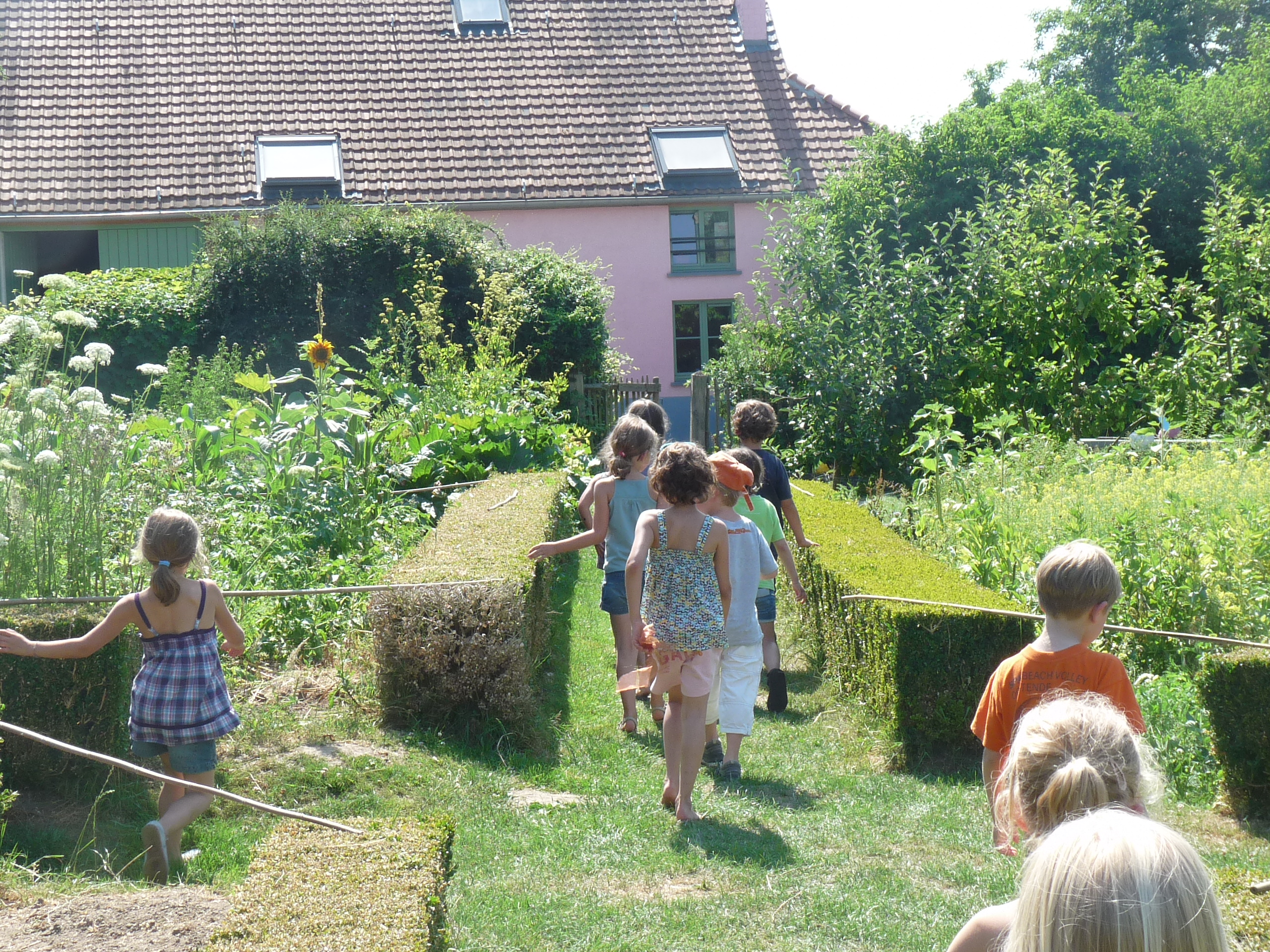 Zomerkamp op de boerderij